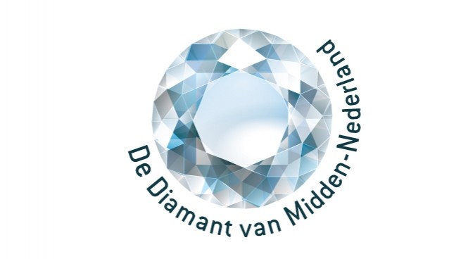 Logo Diamant blauw GROOT